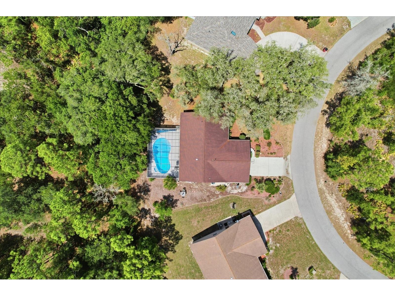 20 Salvia Court Homosassa FL 34446 TB8511522 image42