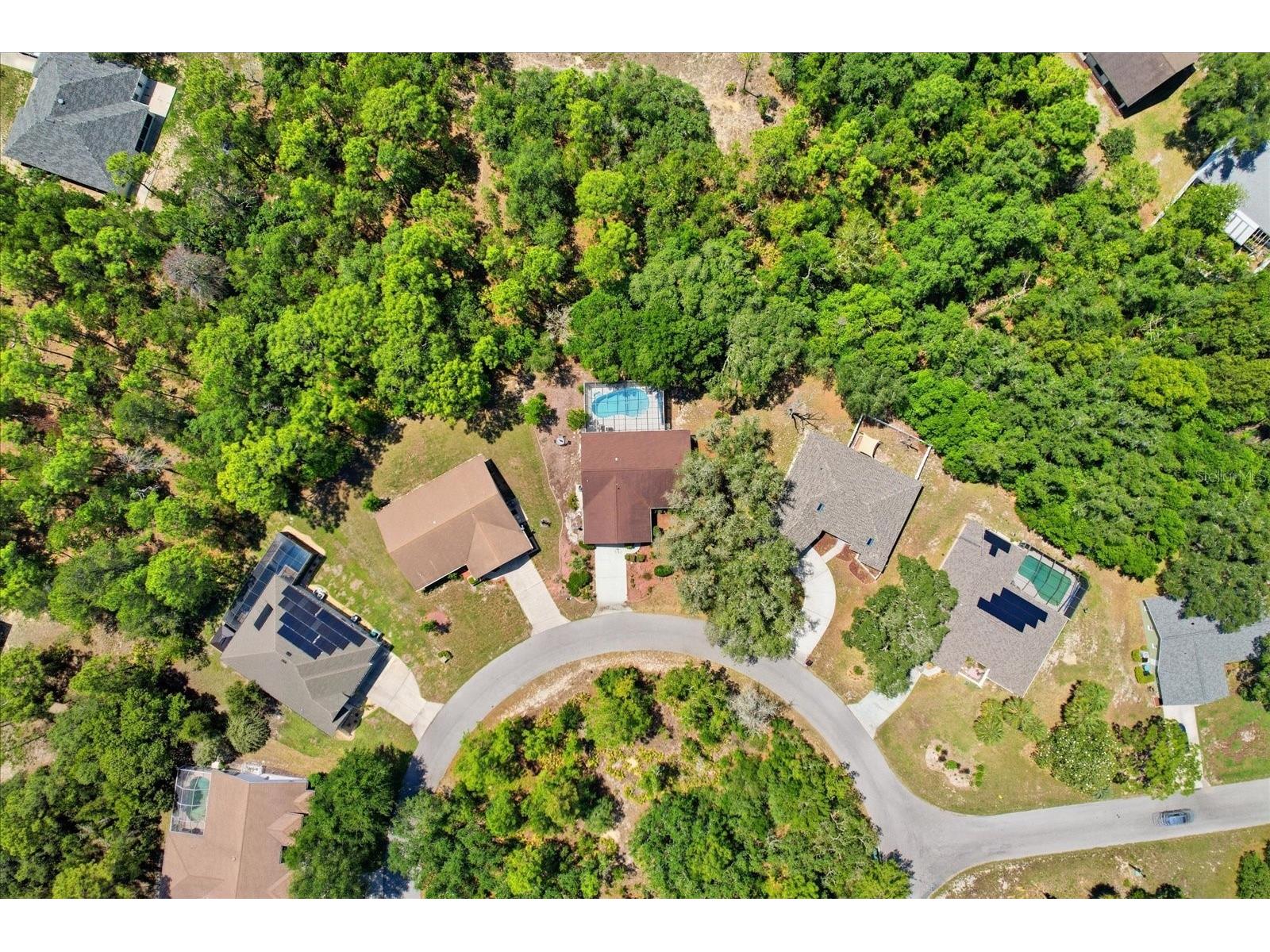 20 Salvia Court Homosassa FL 34446 TB8511522 image43