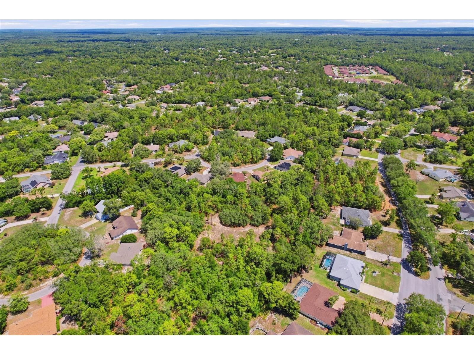 20 Salvia Court Homosassa FL 34446 TB8511522 image44