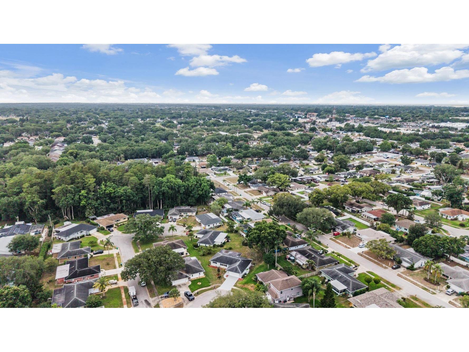20 Shell Circle Palm Harbor FL 34684 TB8508168 image30
