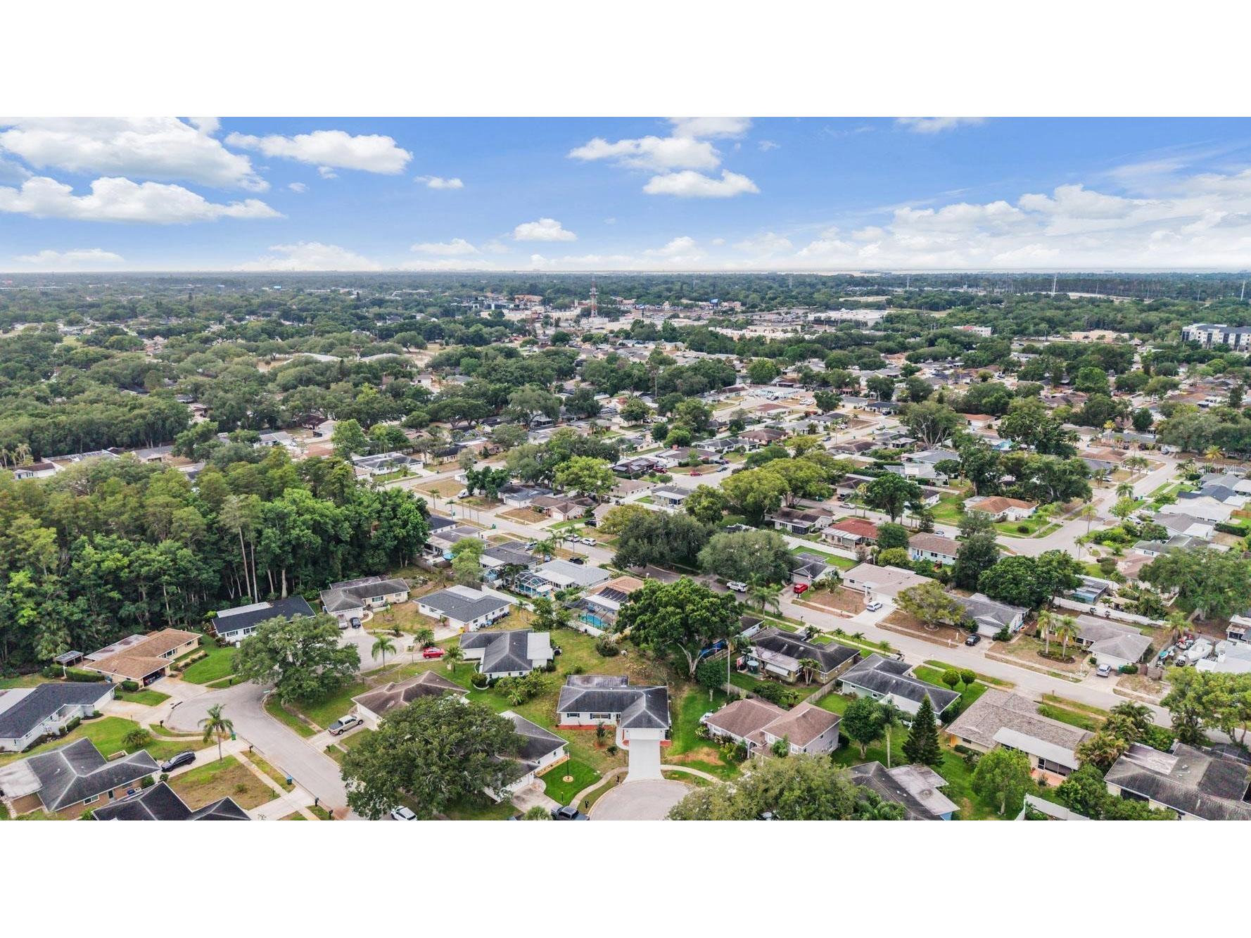 20 Shell Circle Palm Harbor FL 34684 TB8508168 image31