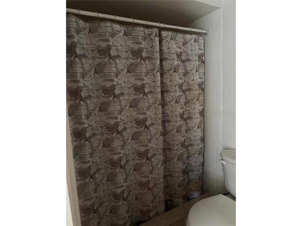 20 Silver Oak Circle Kissimmee FL 34743 S5135471 image7