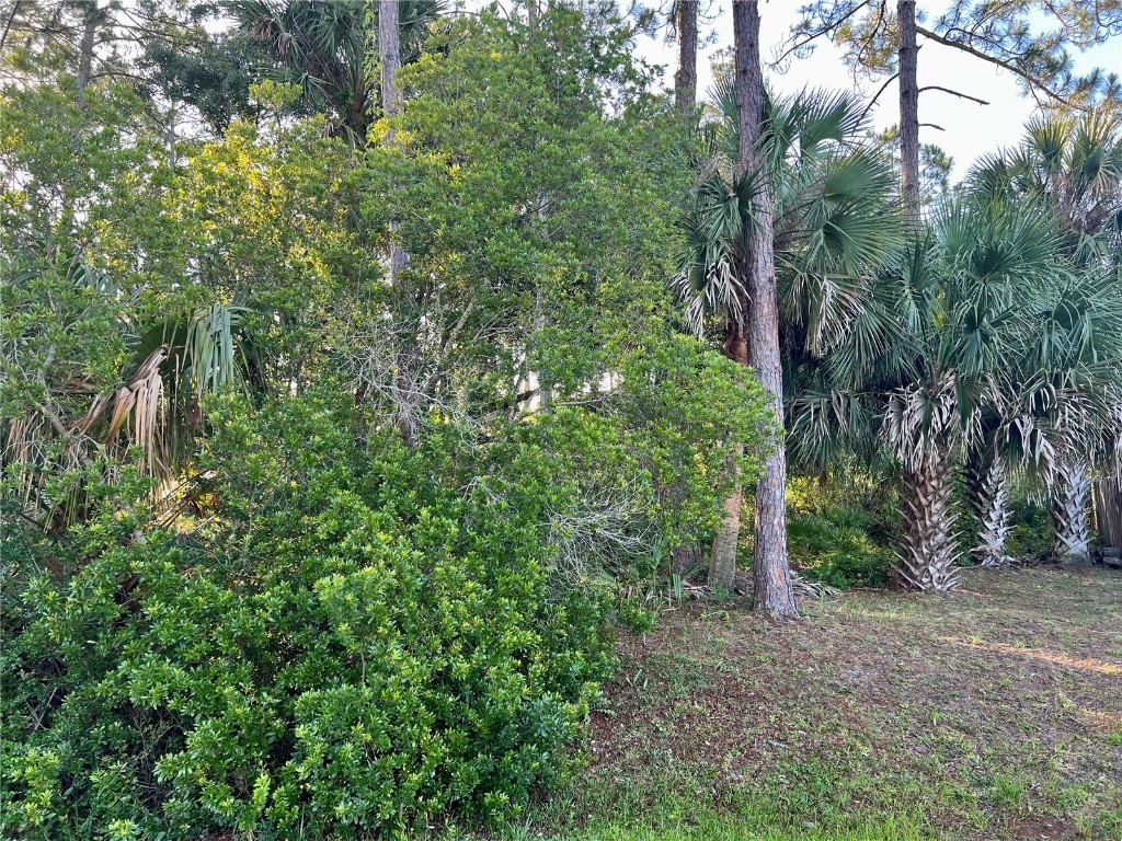 20 Smoke Tree Place Palm Coast FL 32164 FC291580 image1