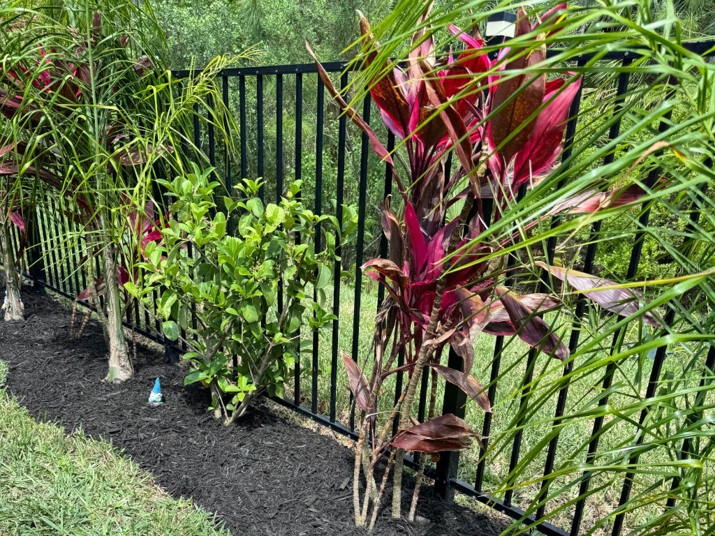 20 Spring Street Palm Coast FL 32164 A4669694 image43