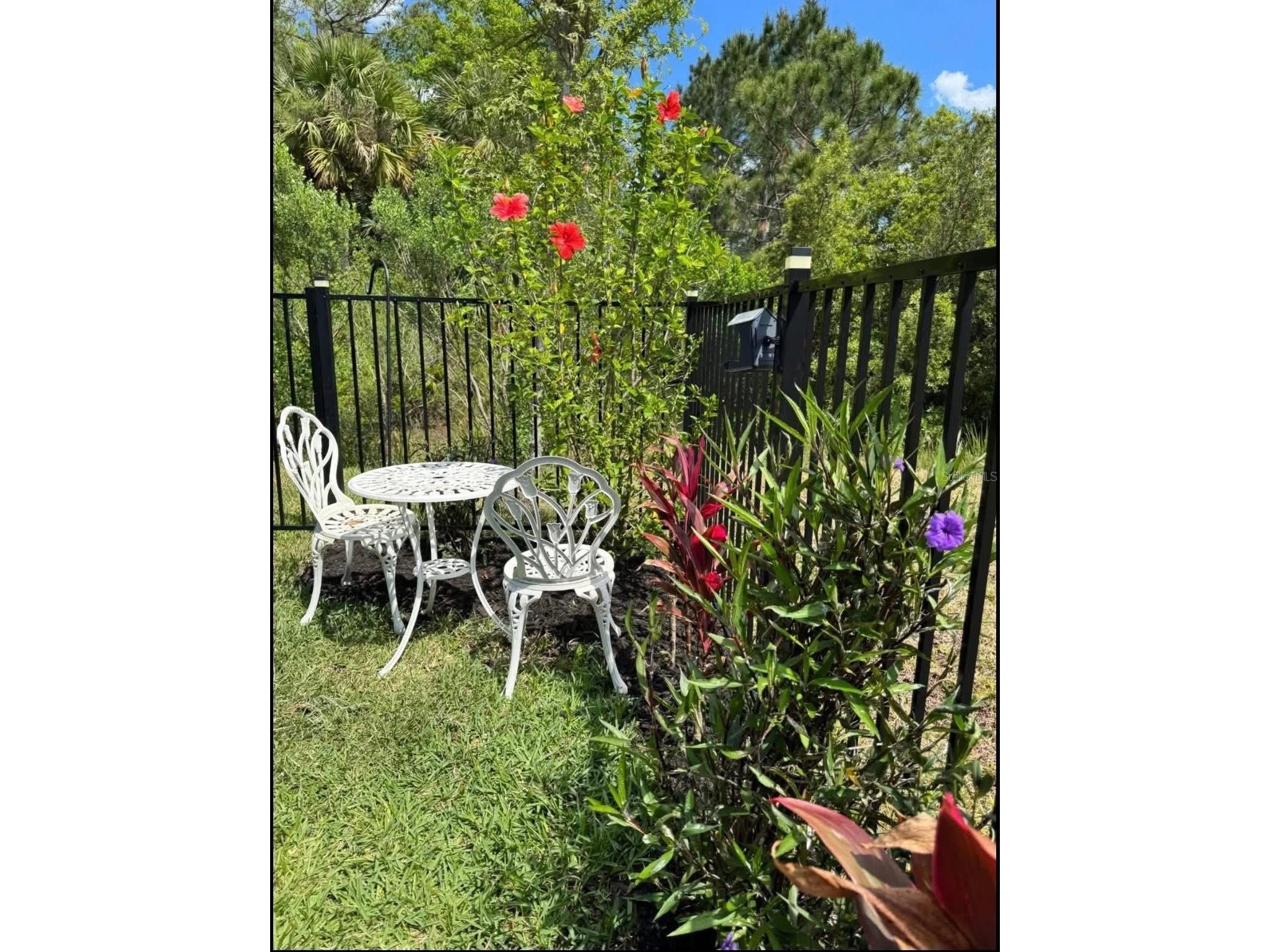 20 Spring Street Palm Coast FL 32164 A4698475 image28