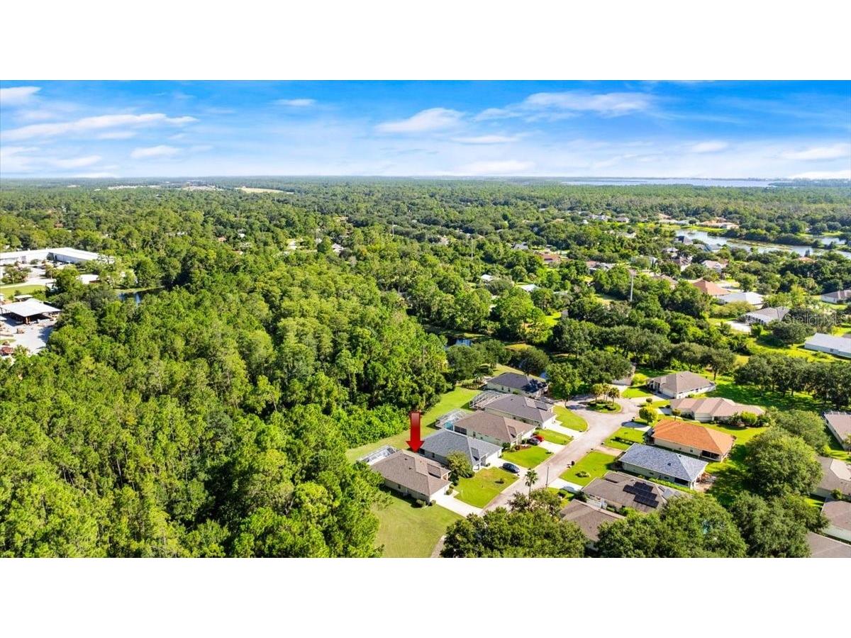 20 Stoney Ridge Lane Ormond Beach FL 32174 V4944134 image49