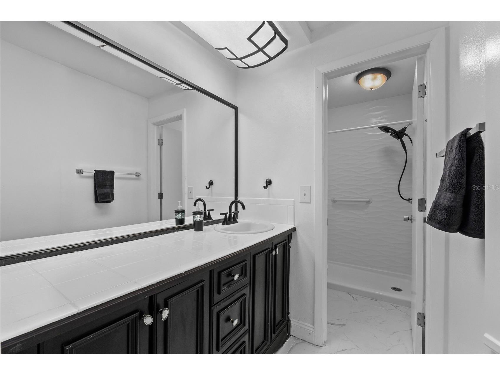 20 Sylvia Place Oldsmar FL 34677 TB8439639 image26