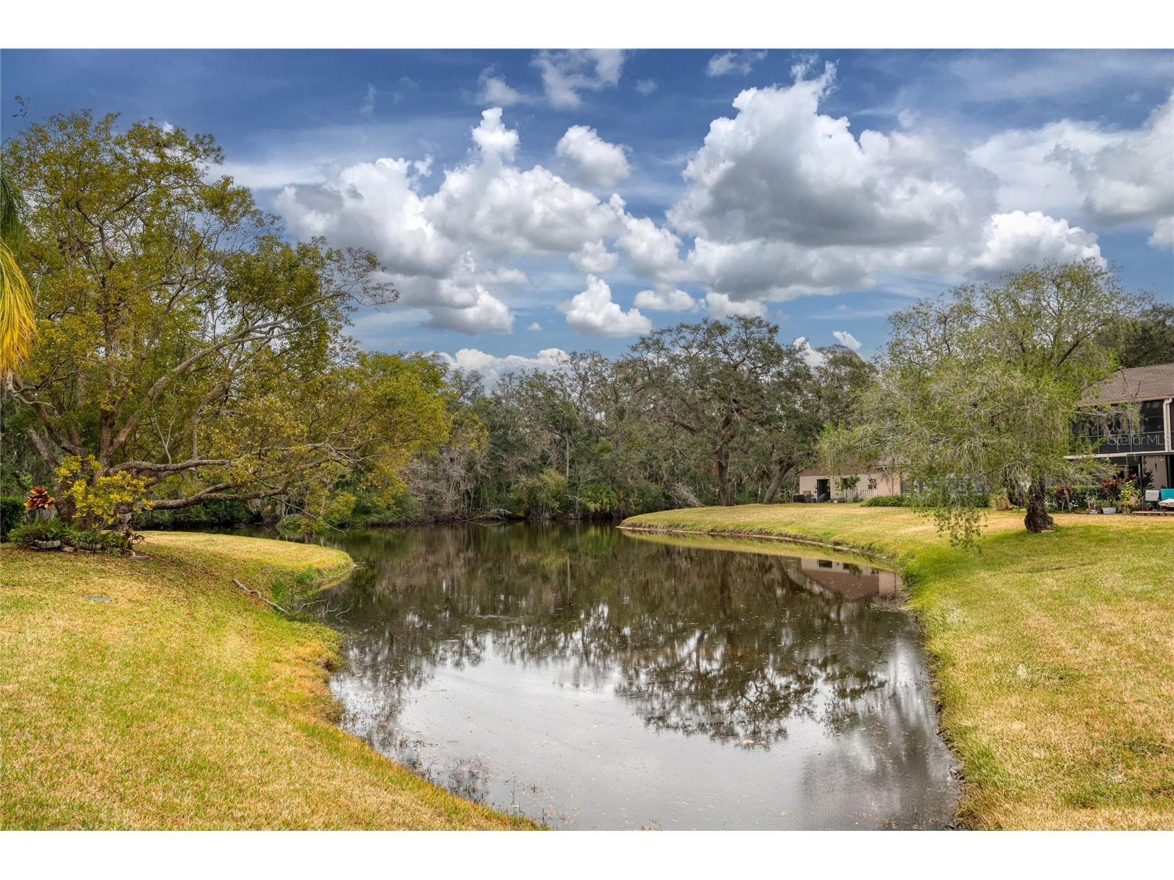 20 Sylvia Place Oldsmar FL 34677 TB8439639 image31