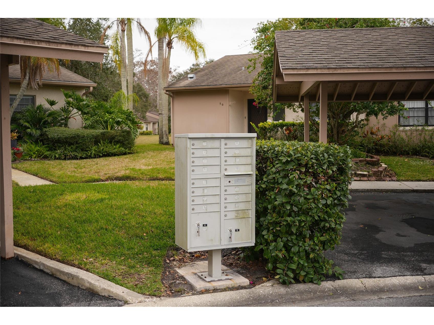 20 Sylvia Place Oldsmar FL 34677 TB8439639 image32