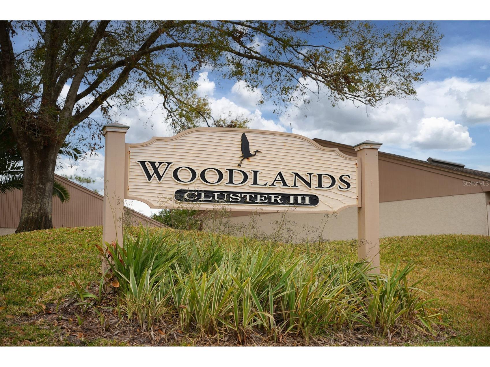 20 Sylvia Place Oldsmar FL 34677 TB8439639 image33