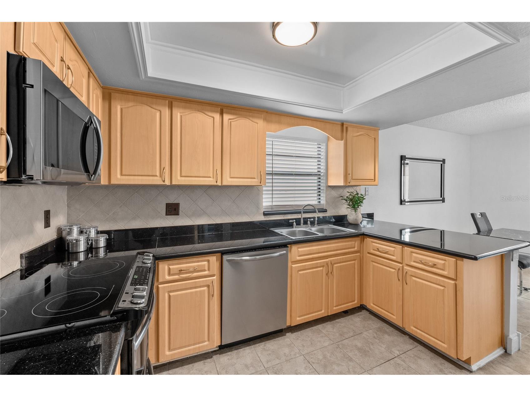 20 Sylvia Place Oldsmar FL 34677 TB8439639 image9