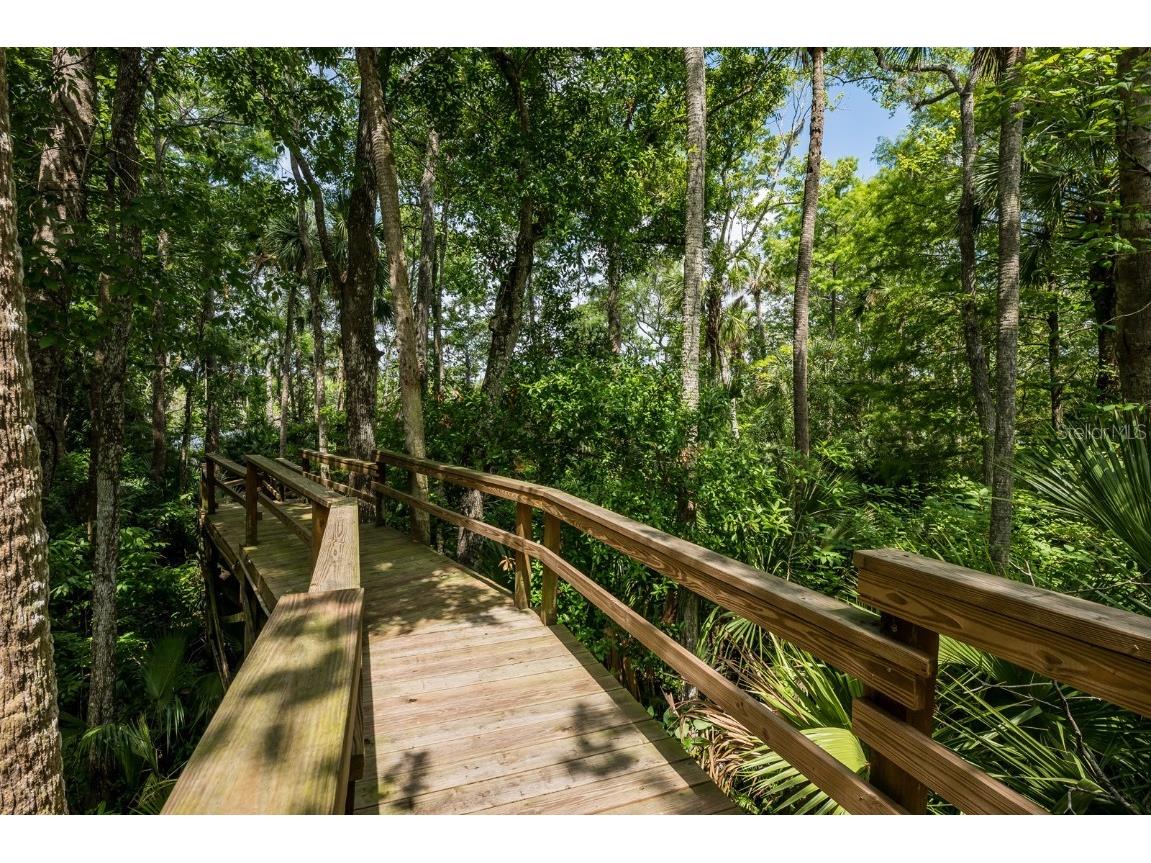 20 Twelve Oaks Trail Ormond Beach FL 32174 - TOMOKA RIVER O6313648 image5
