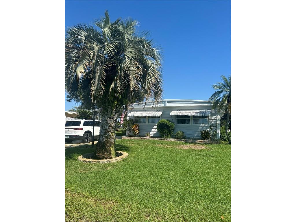 20 W Concord Lane W #1 Palm Harbor FL 34684 TB8311117 image1