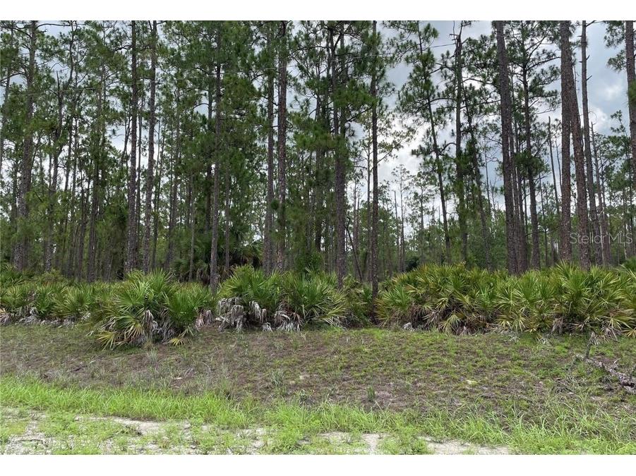 20 Wells Avenue Lehigh Acres FL 33936 O6144806 image1