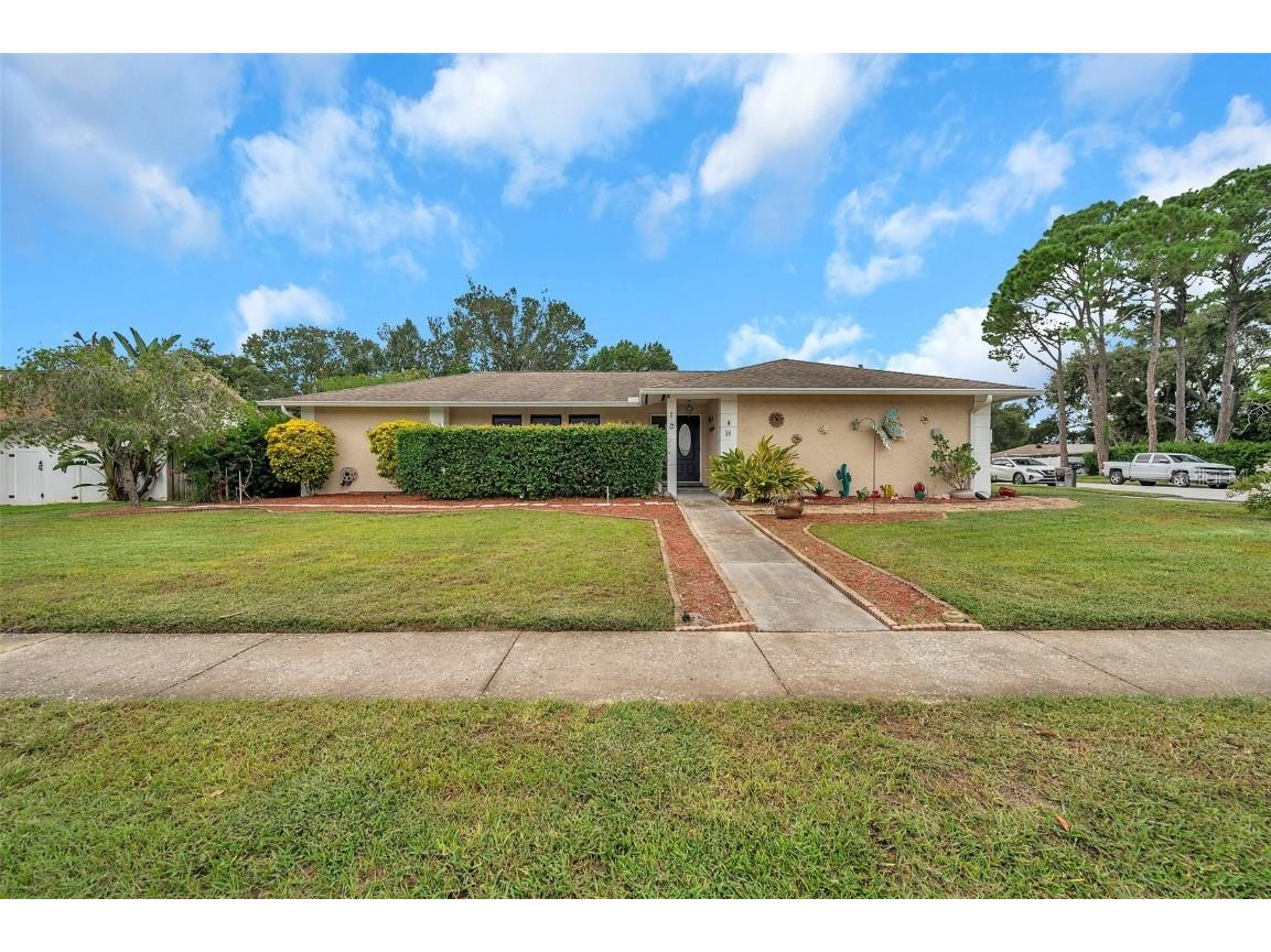 20 Woodcutter Lane Palm Harbor FL 34683 W7868363 image1