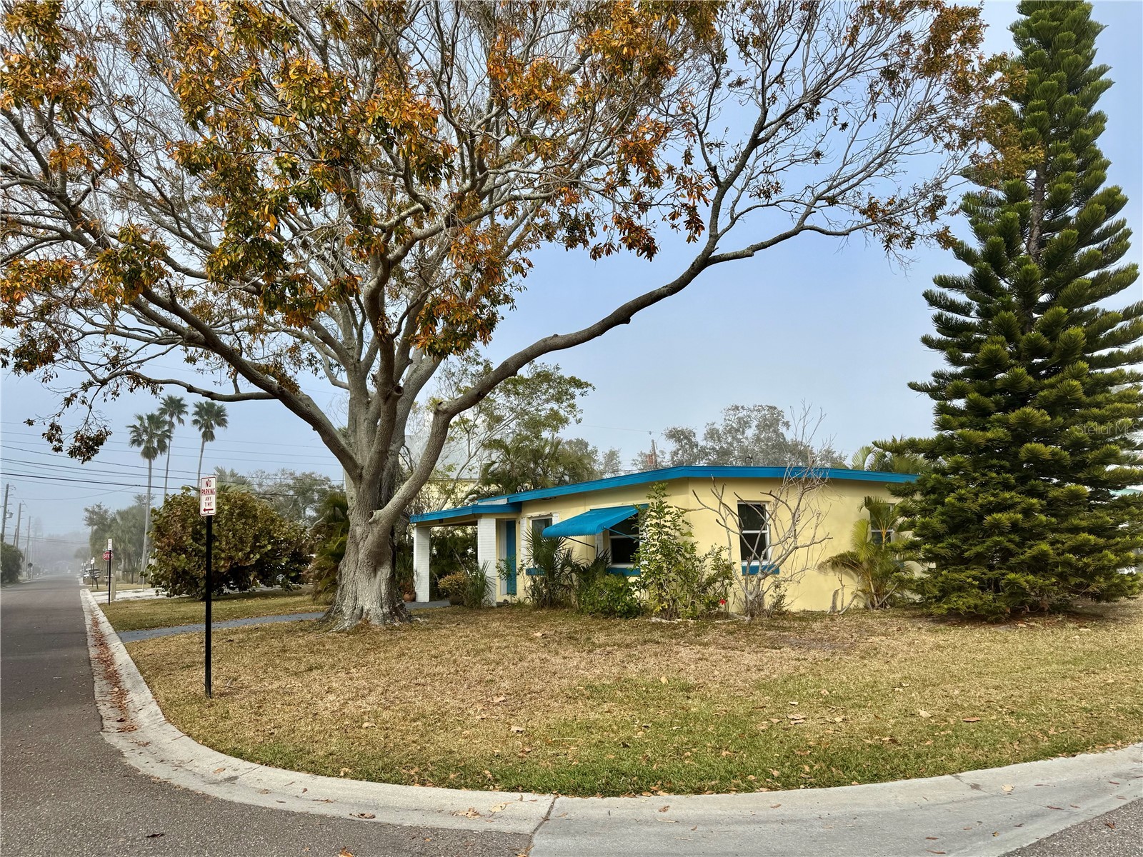 200 10th Avenue Indian Rocks Beach FL 33785 TB8475903 image15