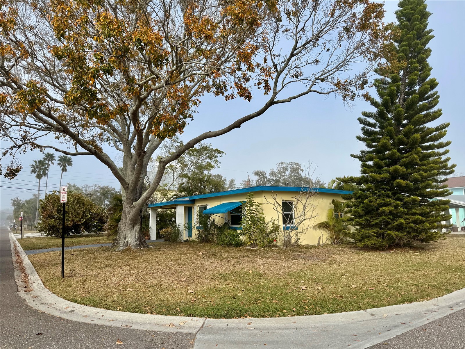 200 10th Avenue Indian Rocks Beach FL 33785 TB8475903 image4