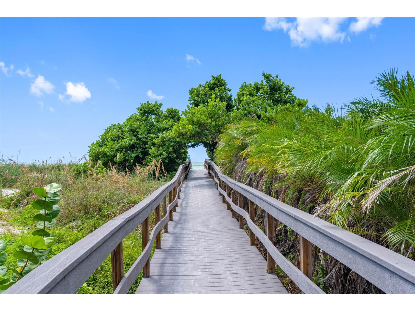 200 121st Avenue #104 Treasure Island FL 33706 - SUNSHINE BEACH TB8508167 image74