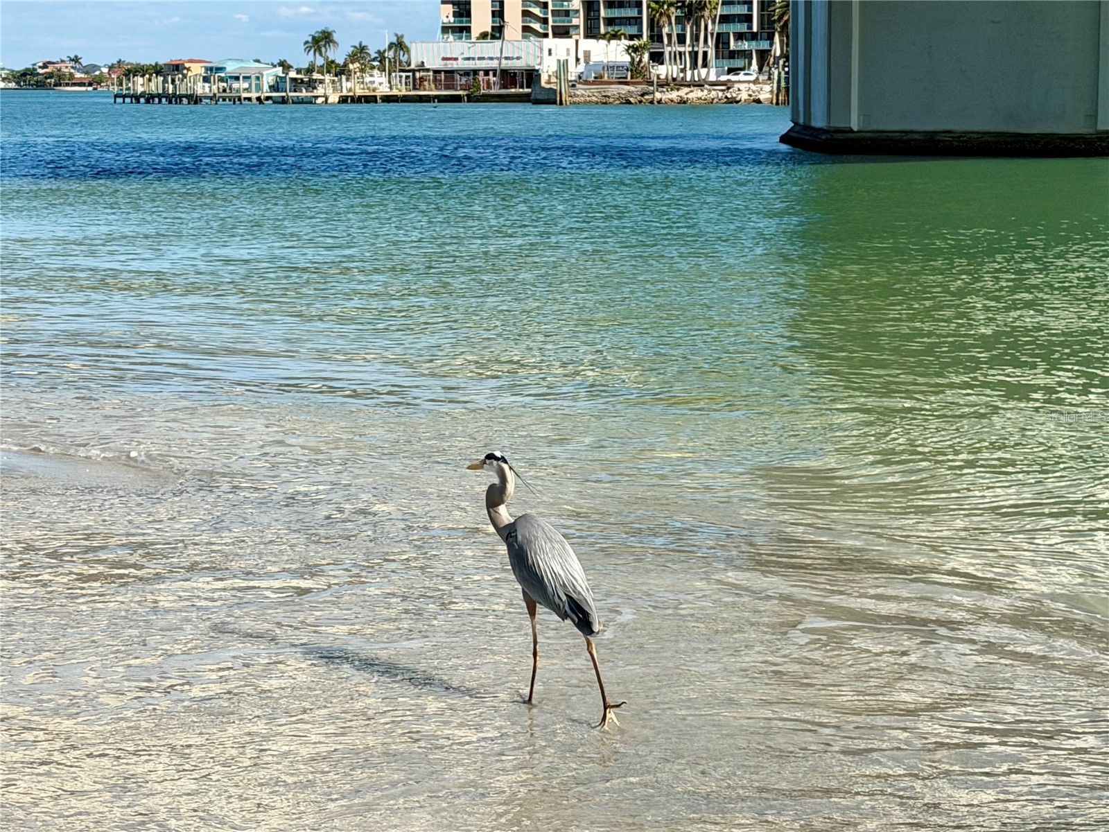 200 140th Avenue E #W Madeira Beach FL 33708 A4683298 image30