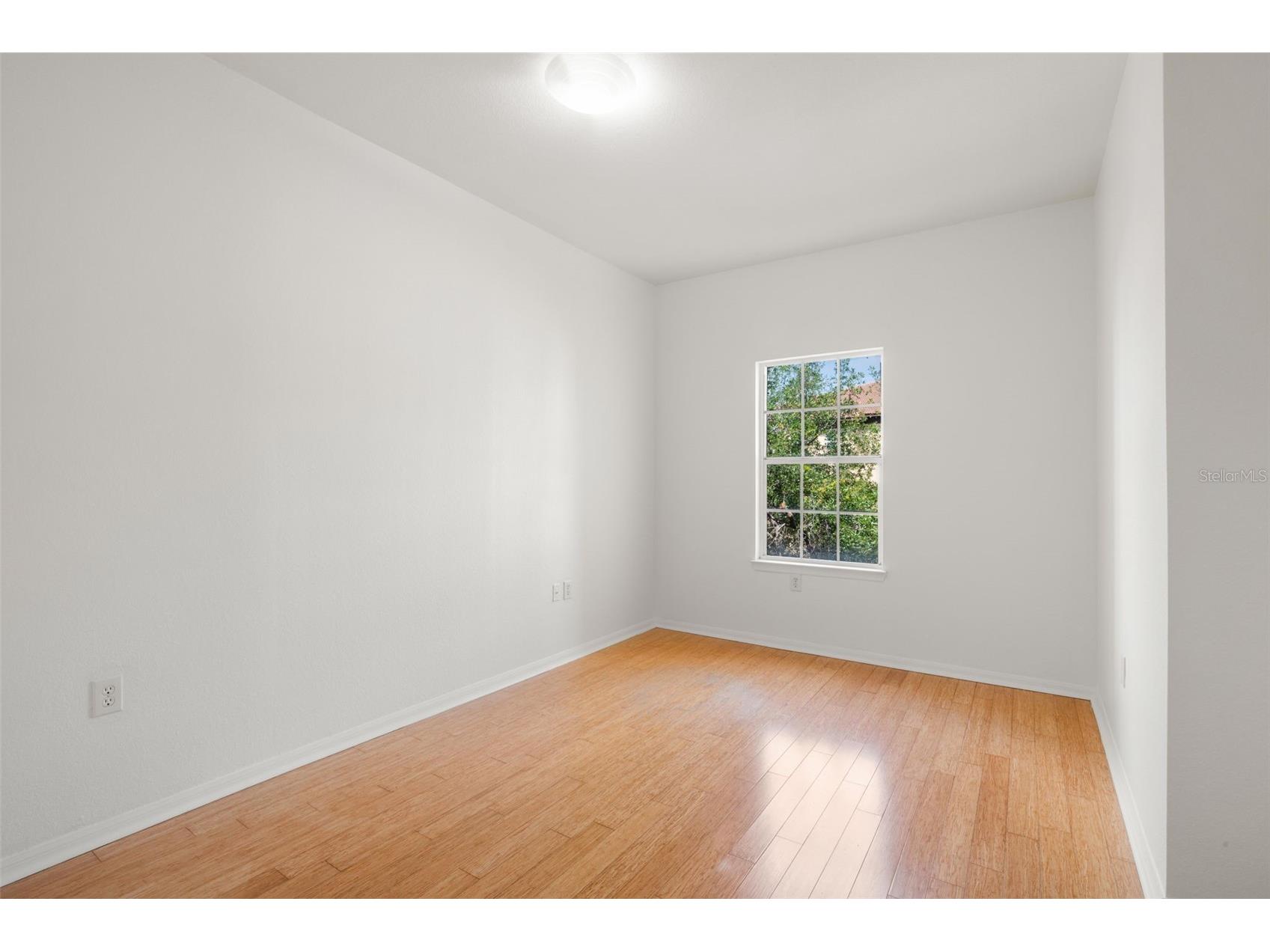 200 4th Avenue S #302 Saint Petersburg FL 33701 TB8501633 image24