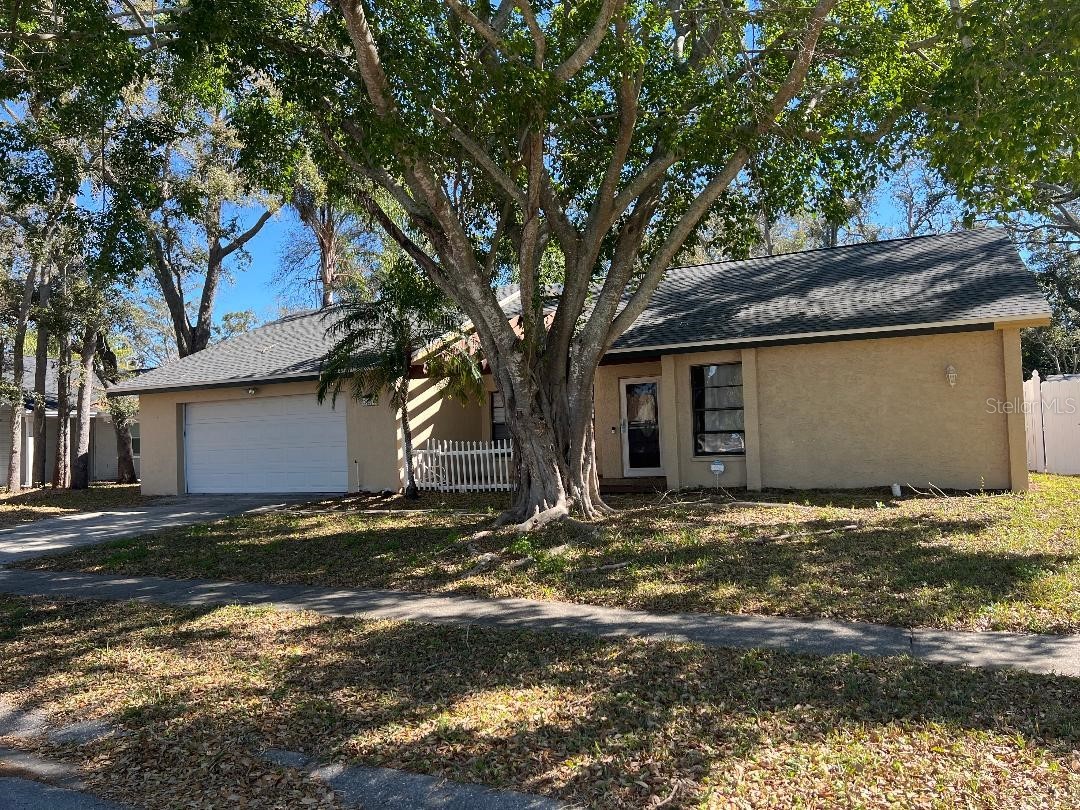 200 Arbor Drive W Palm Harbor FL 34683 TB8482438 image1