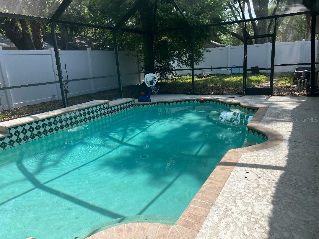 200 Arbor Drive W Palm Harbor FL 34683 TB8482438 image12