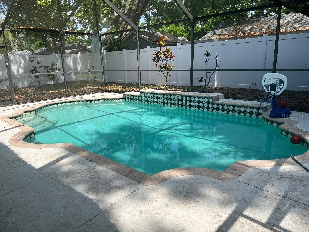 200 Arbor Drive W Palm Harbor FL 34683 TB8482438 image18