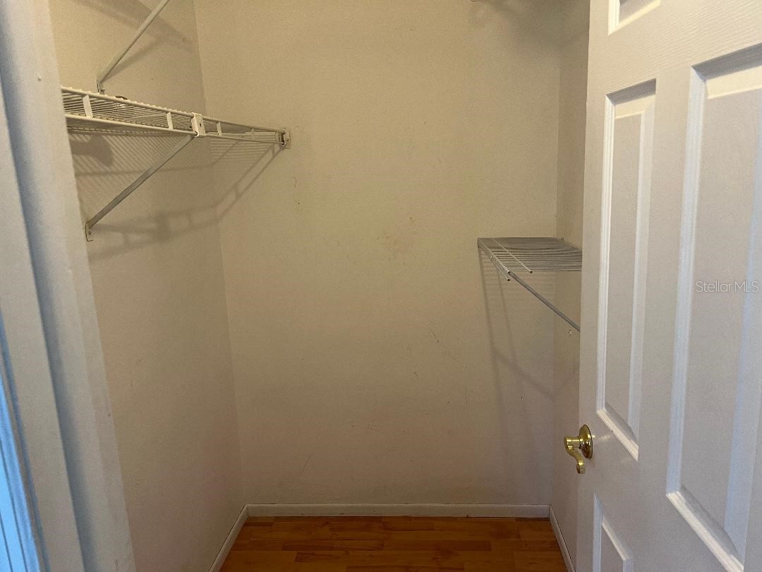 200 Arbor Drive W Palm Harbor FL 34683 TB8482438 image29