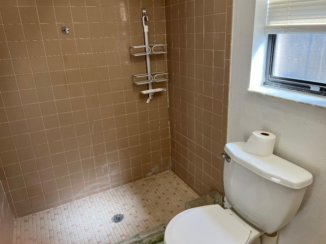 200 Arbor Drive W Palm Harbor FL 34683 TB8482438 image42