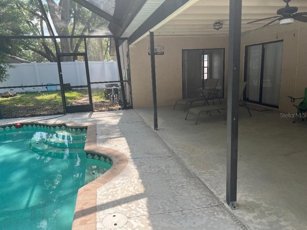 200 Arbor Drive W Palm Harbor FL 34683 TB8482467 image13