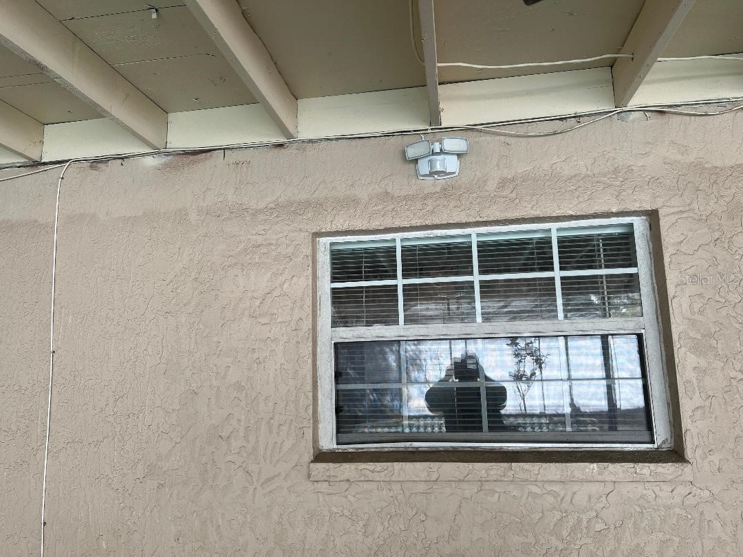 200 Arbor Drive W Palm Harbor FL 34683 TB8482467 image20