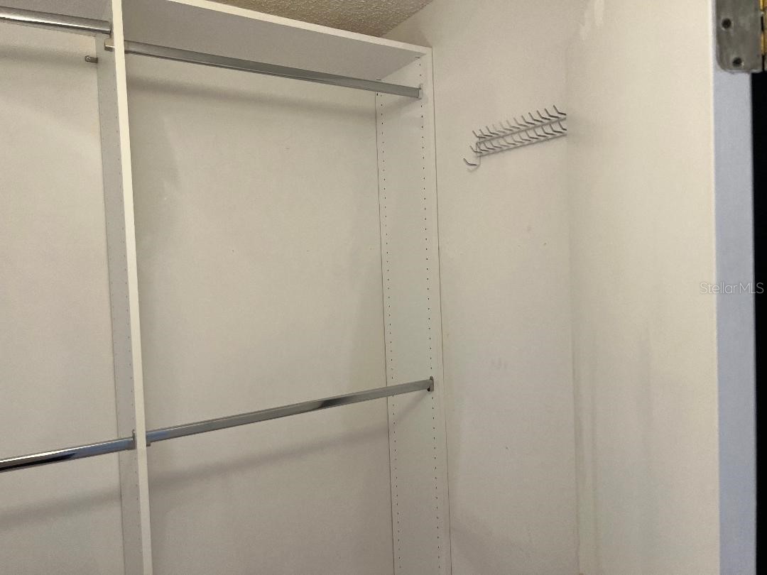 200 Arbor Drive W Palm Harbor FL 34683 TB8482467 image45
