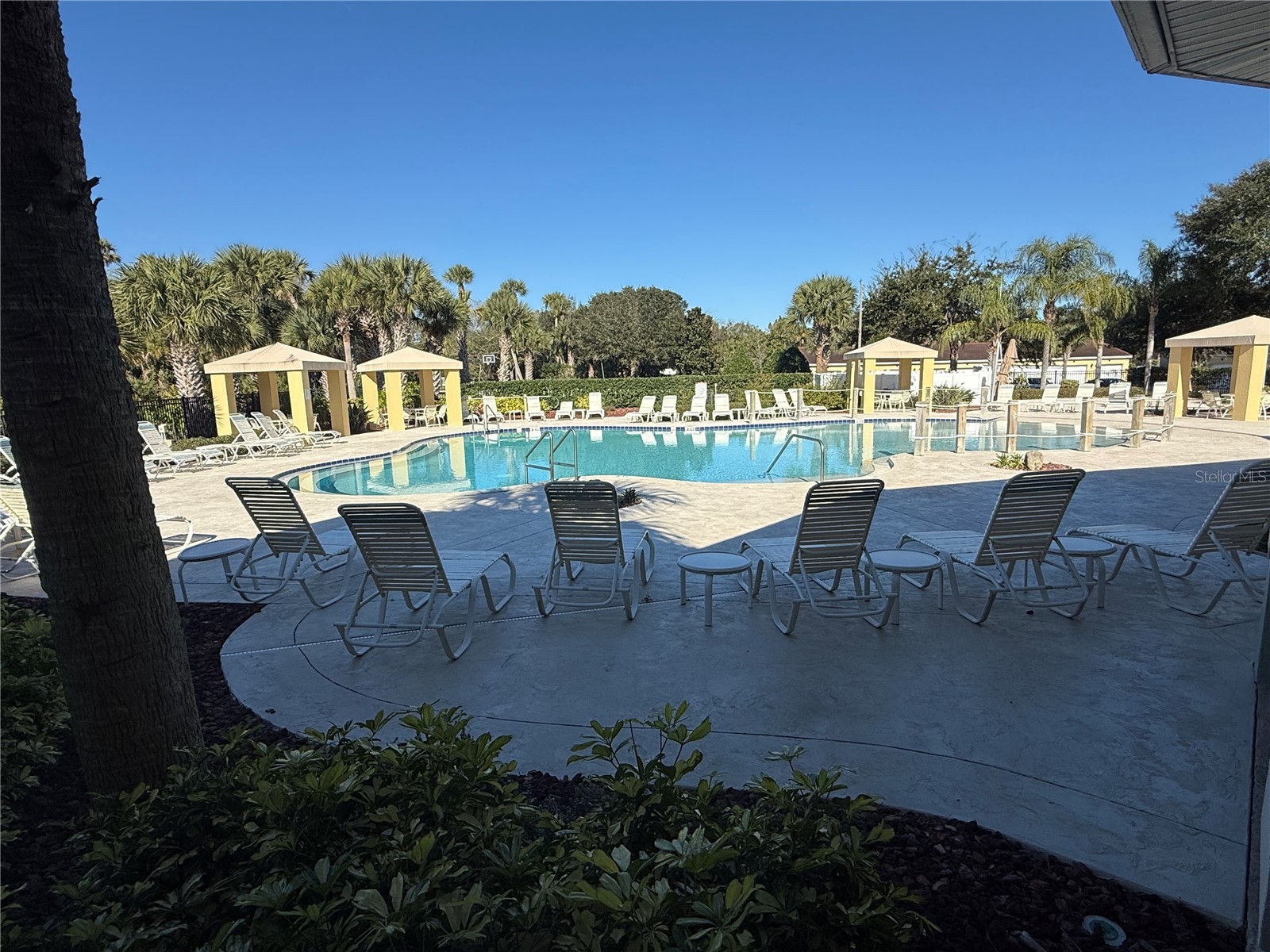 200 Canopy Walk Ln #242 Palm Coast FL 32137 FC314977 image3