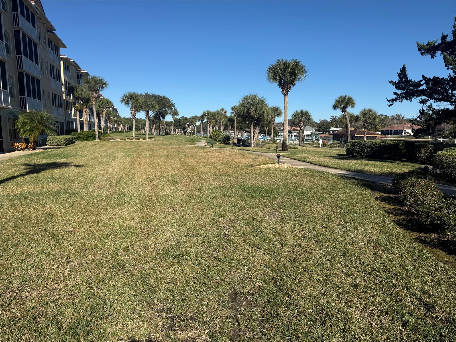 200 Canopy Walk Ln #242 Palm Coast FL 32137 FC314977 image4
