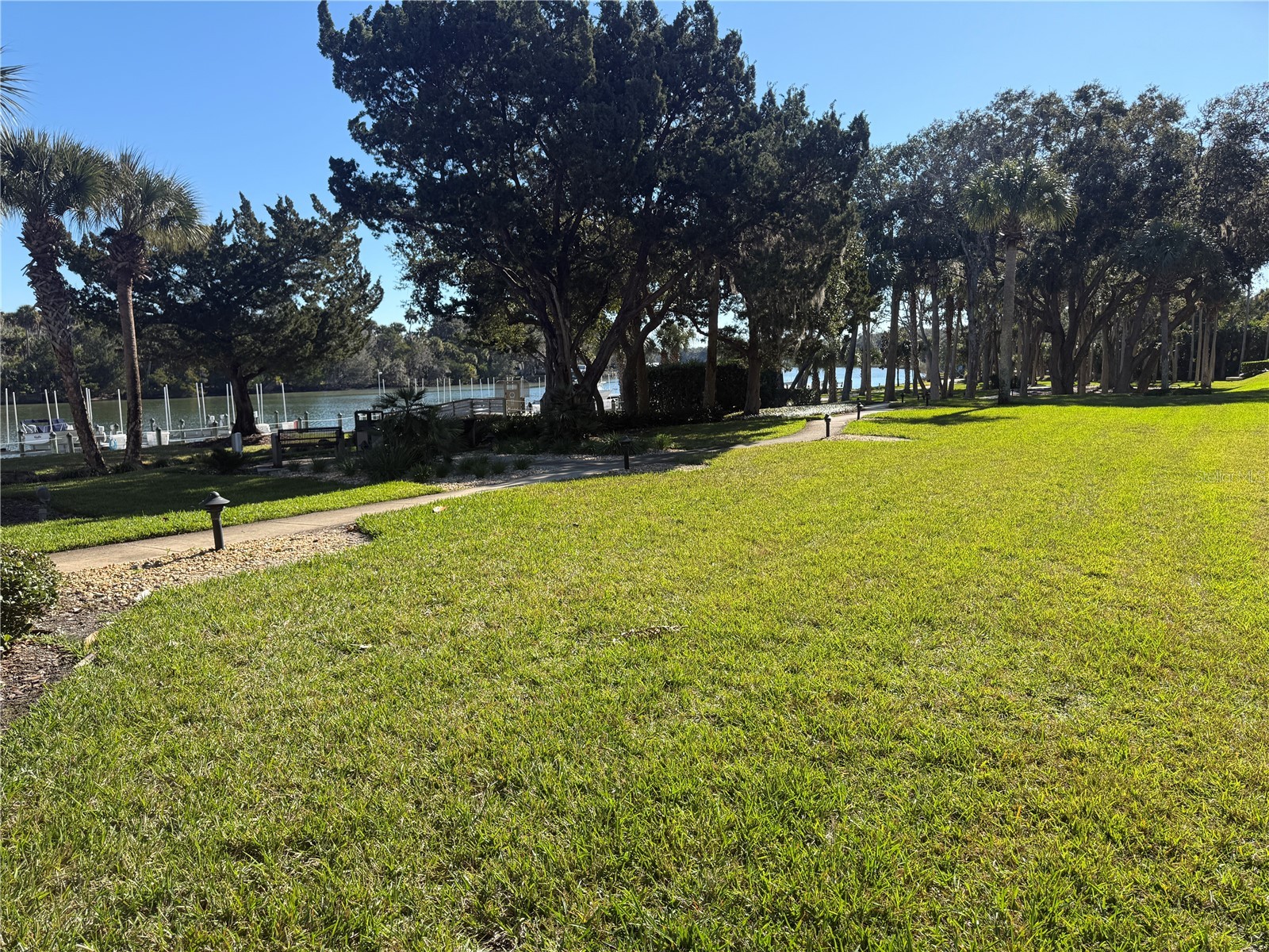 200 Canopy Walk Ln #242 Palm Coast FL 32137 FC314977 image5