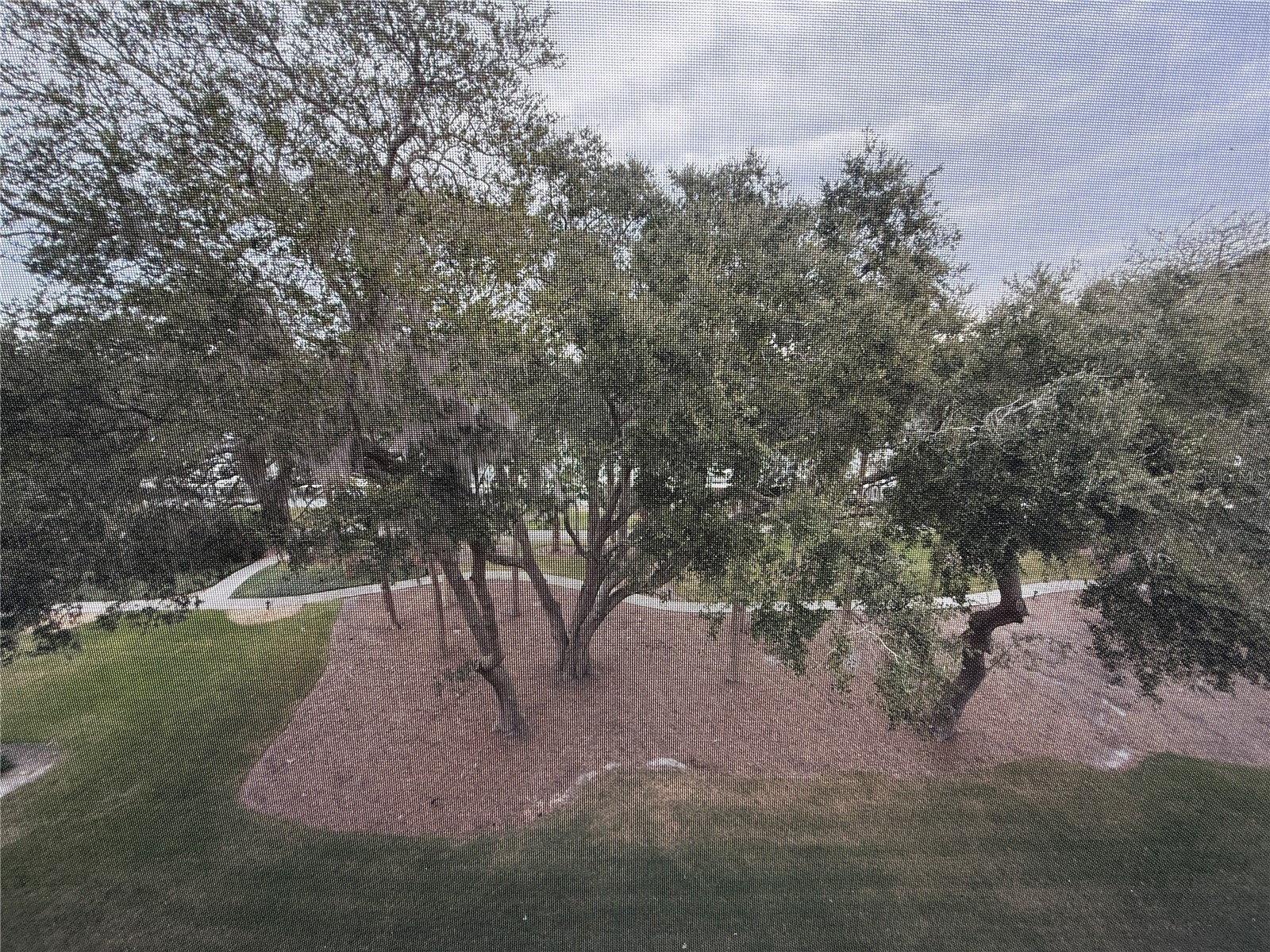200 Canopy Walk Ln #242 Palm Coast FL 32137 FC314977 image7