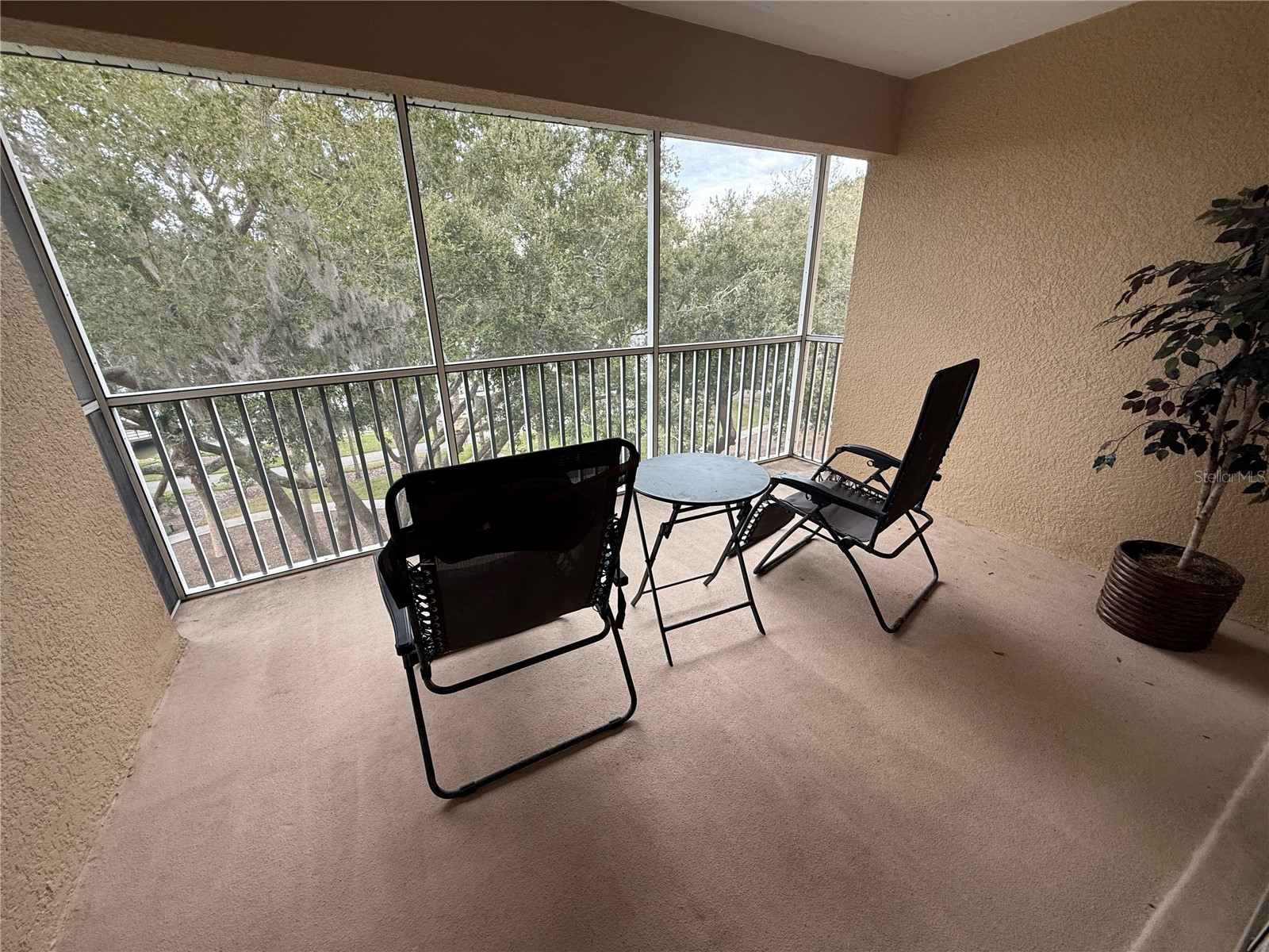 200 Canopy Walk Ln #242 Palm Coast FL 32137 FC314977 image8