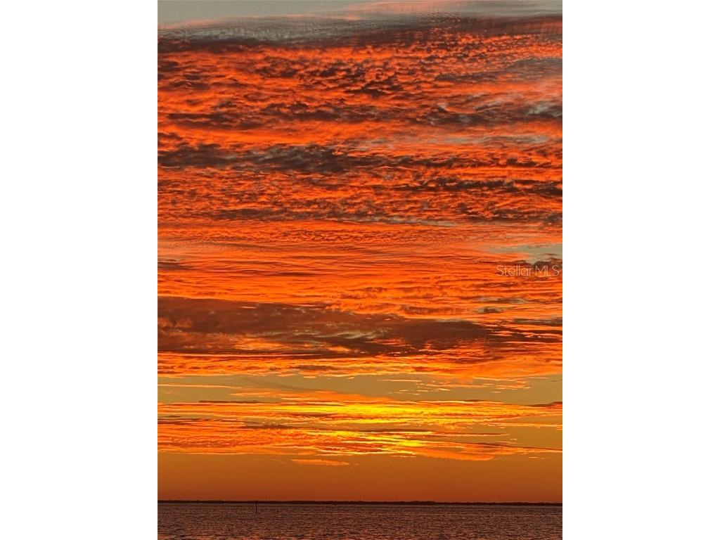 200 Colony Point Road S Saint Petersburg FL 33705 O6234302 image3