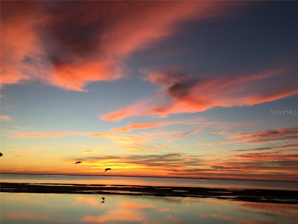 200 Colony Point Road S Saint Petersburg FL 33705 O6234302 image9