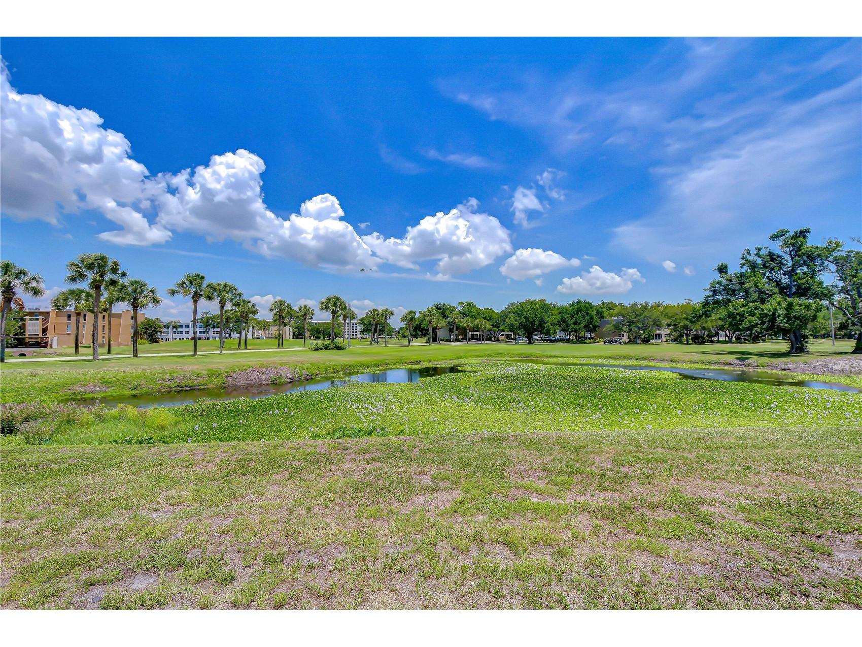 200 Country Club Drive #1505 Largo FL 33771 TB8504962 image56