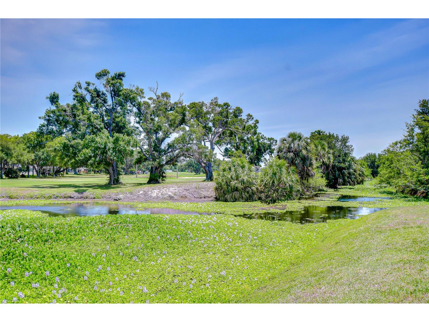 200 Country Club Drive #1505 Largo FL 33771 TB8504962 image59