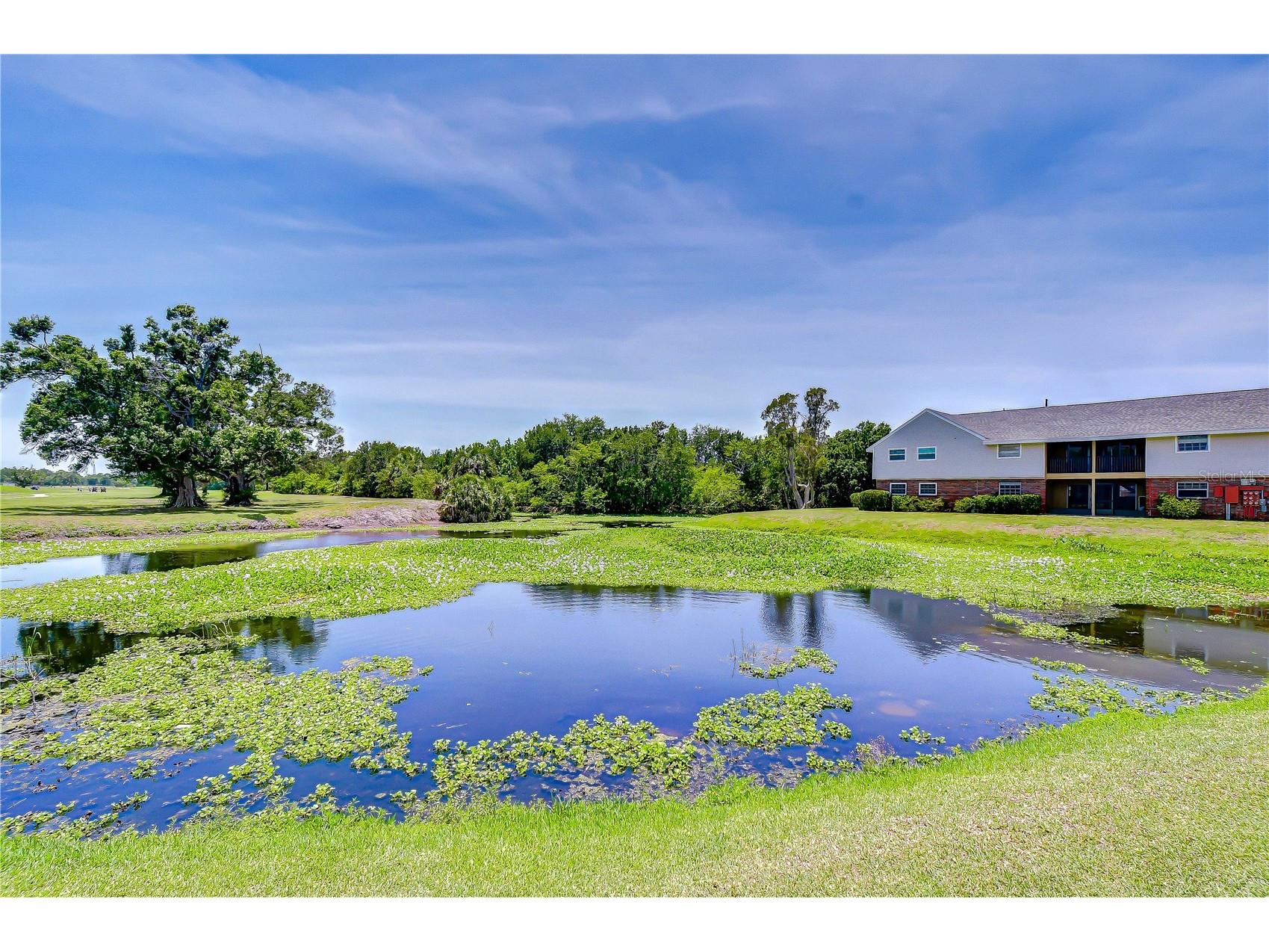 200 Country Club Drive #1505 Largo FL 33771 TB8504962 image65
