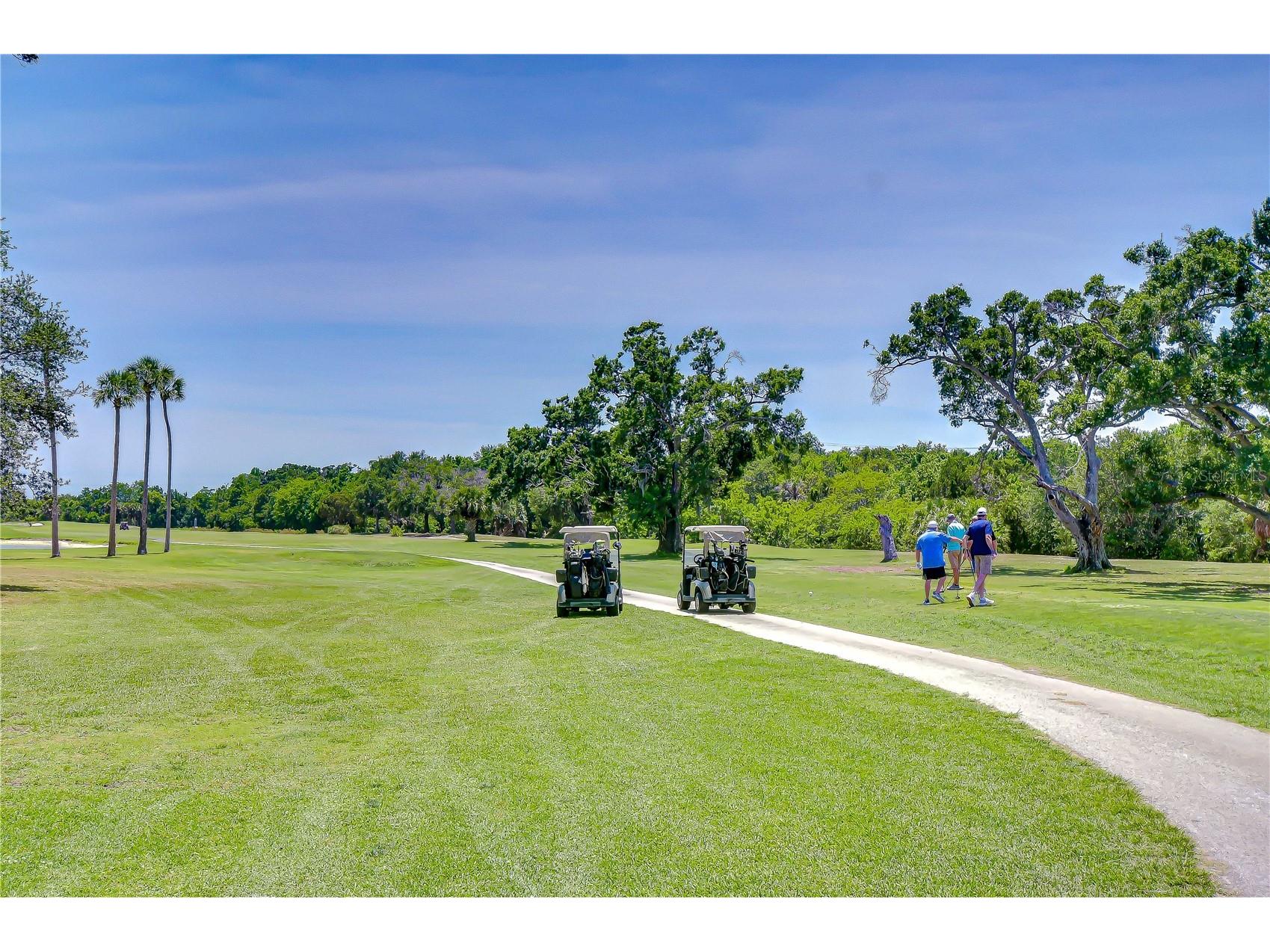 200 Country Club Drive #1505 Largo FL 33771 TB8504962 image70