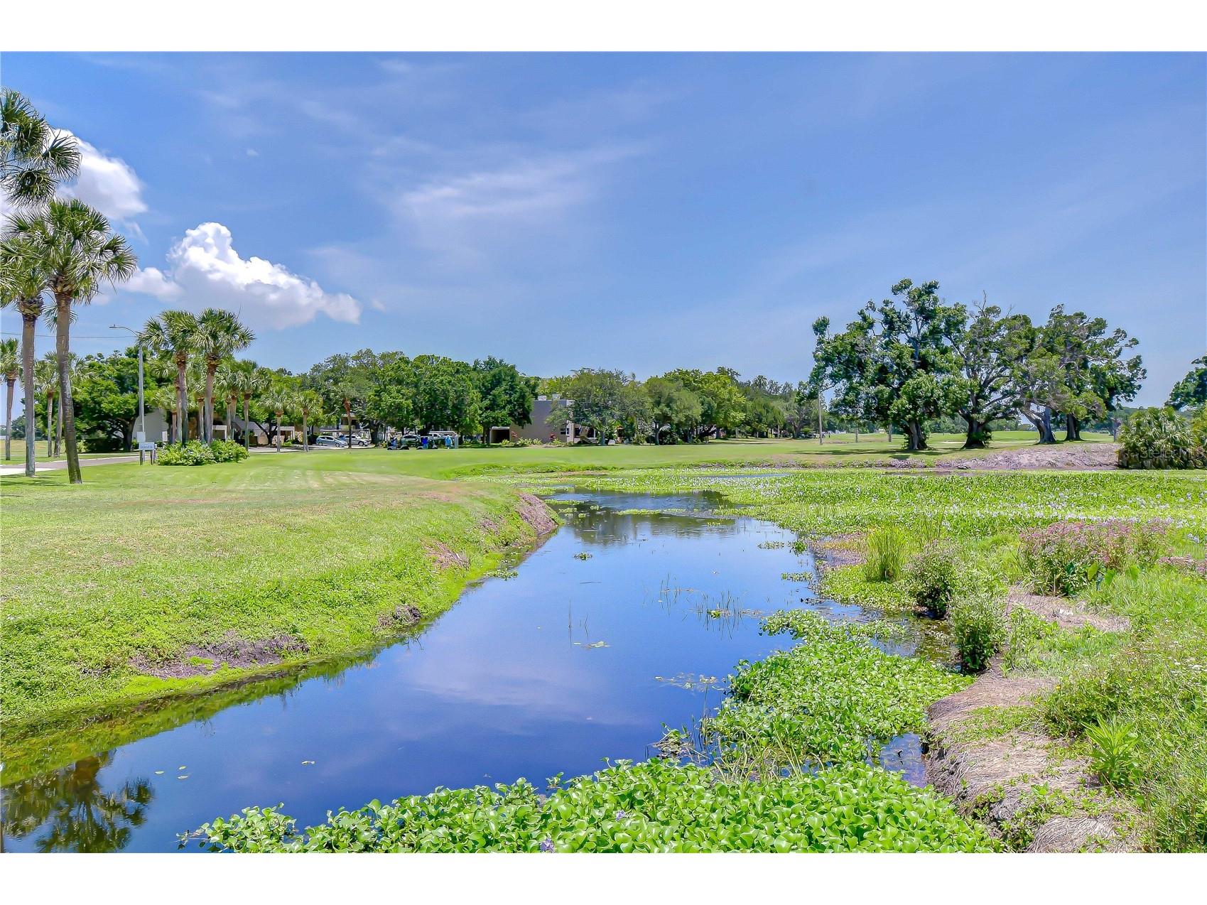 200 Country Club Drive #1505 Largo FL 33771 TB8504962 image73