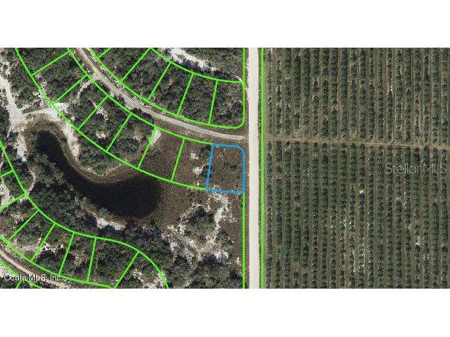 200 Crystal Lake Drive Lake Placid FL 33852 OM542089 image1