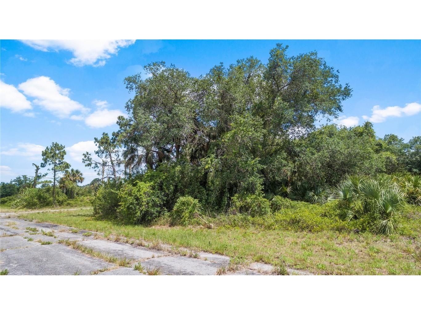 200 Edgar Mitchell Lane Labelle FL 33935 O6068645 image1