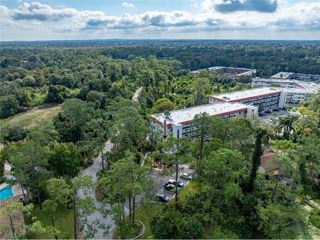 200 El Camino Drive #101 Winter Haven FL 33884 P4937058 image50