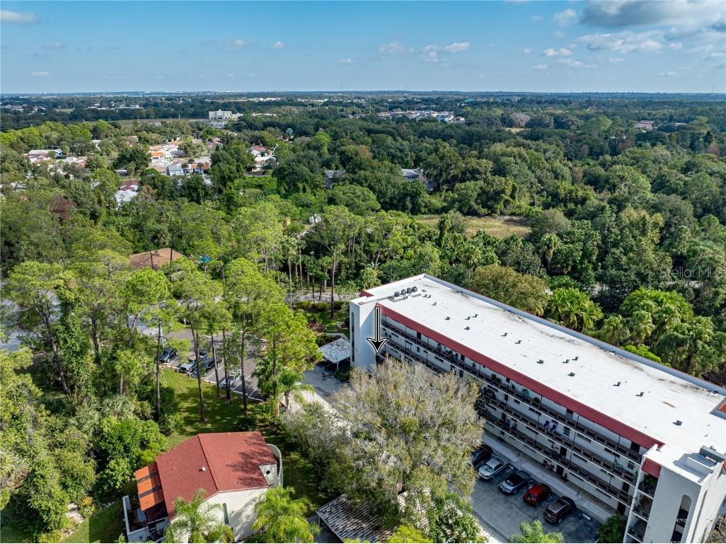 200 El Camino Drive #101 Winter Haven FL 33884 P4937058 image53