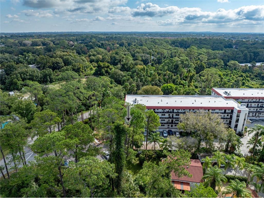 200 El Camino Drive #101 Winter Haven FL 33884 P4937058 image54