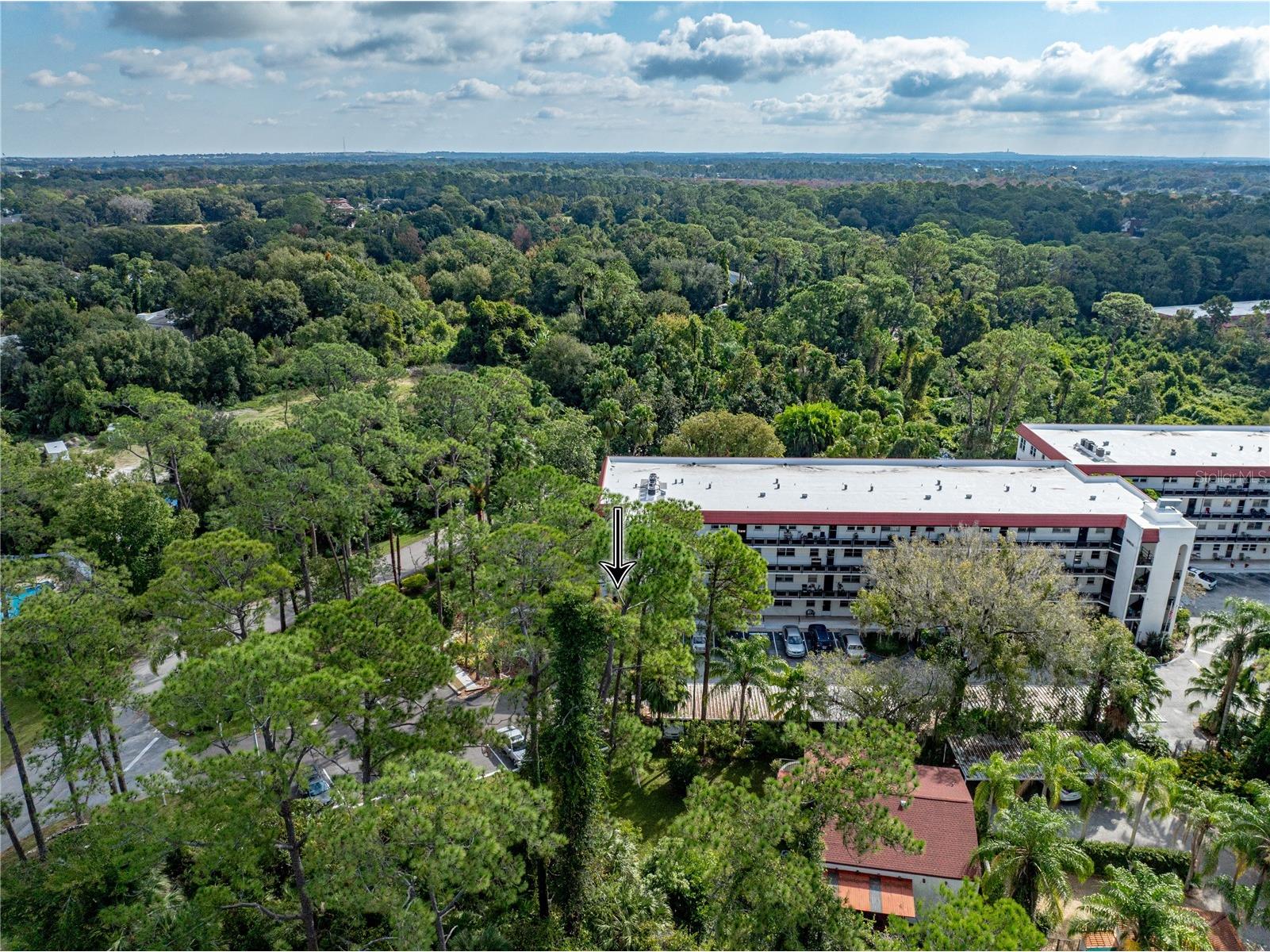 200 El Camino Drive #101 Winter Haven FL 33884 P4937058 image61